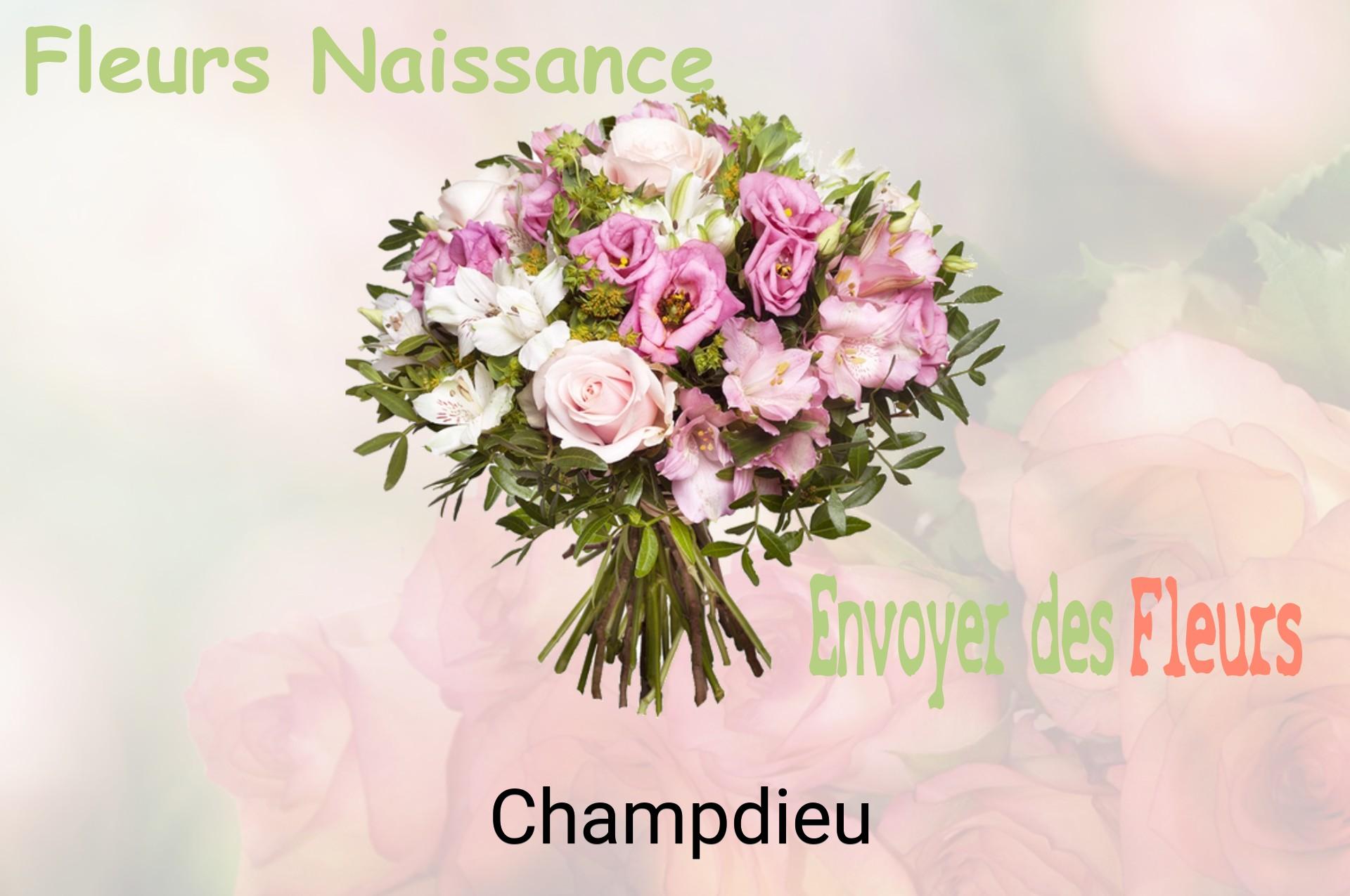 Bouquet de fleurs de naissance livré à Champdieu
